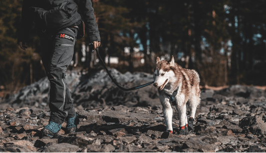 Protector Bootie (Non - Stop Dogwear) - SnowPaw Store - Non - Stop Dogwear - Dog Boots