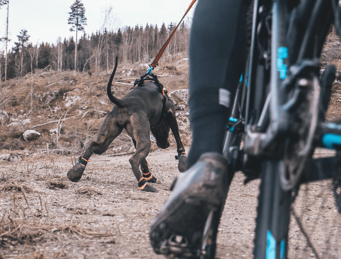 Protector Bootie (Non - Stop Dogwear) - SnowPaw Store - Non - Stop Dogwear - Dog Boots