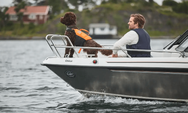 Protector Life Jacket (Non - Stop Dogwear) - SnowPaw Store - Non - Stop Dogwear - Life Jackets