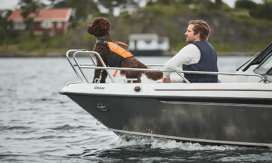 Protector Life Jacket (Non - Stop Dogwear) - SnowPaw Store - Non - Stop Dogwear - Life Jackets