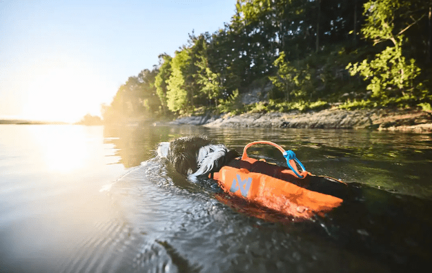 Protector Life Jacket (Non - Stop Dogwear) - SnowPaw Store - Non - Stop Dogwear - Life Jackets