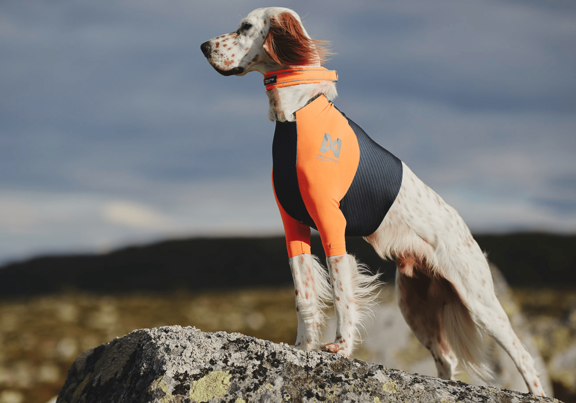 Protector T-Shirt (Non - Stop Dogwear) - SnowPaw Store - Non - Stop Dogwear - Active Dog Gear