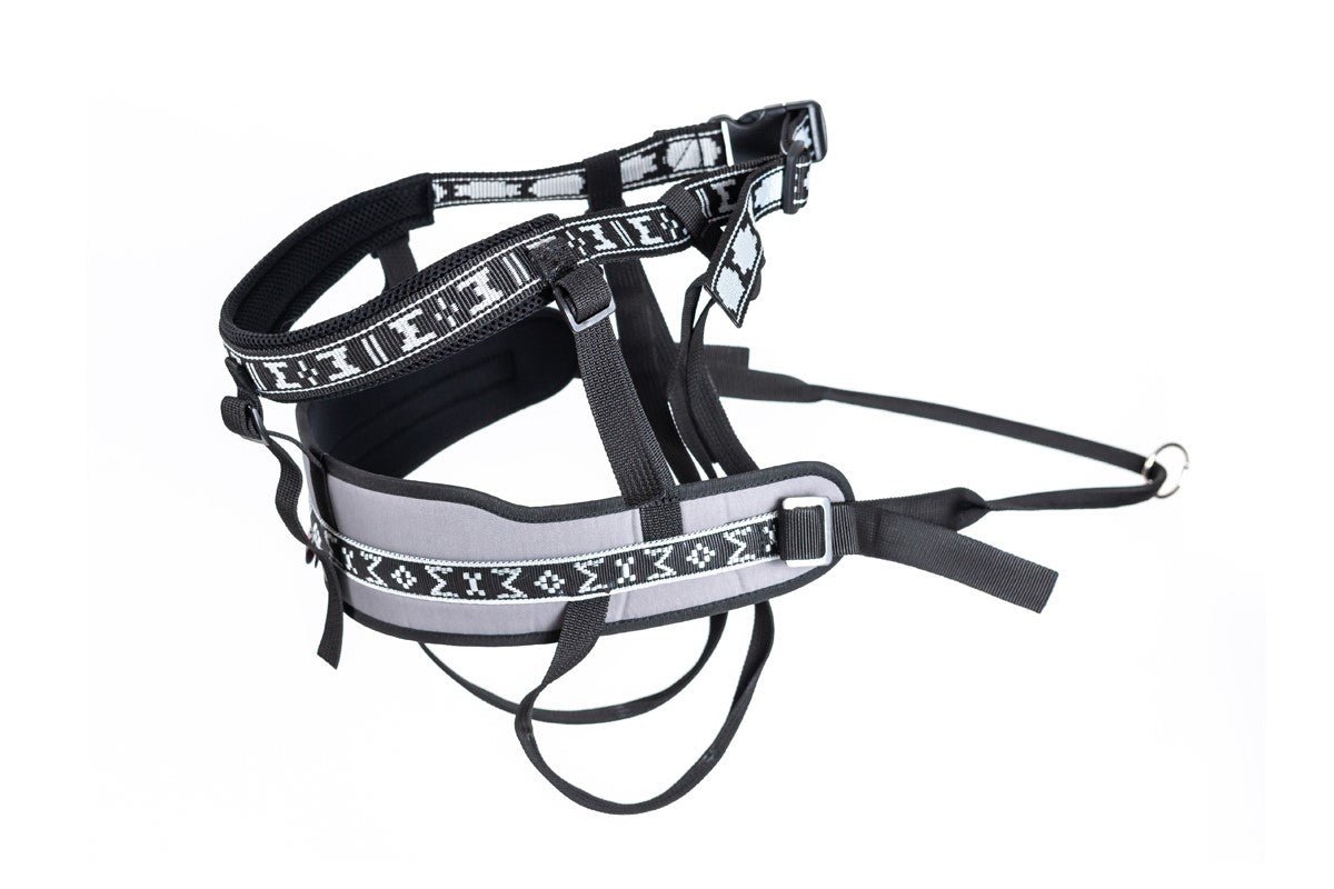 Race Pro Belt (Manmat) - SnowPaw Store - ManMat - Canicross