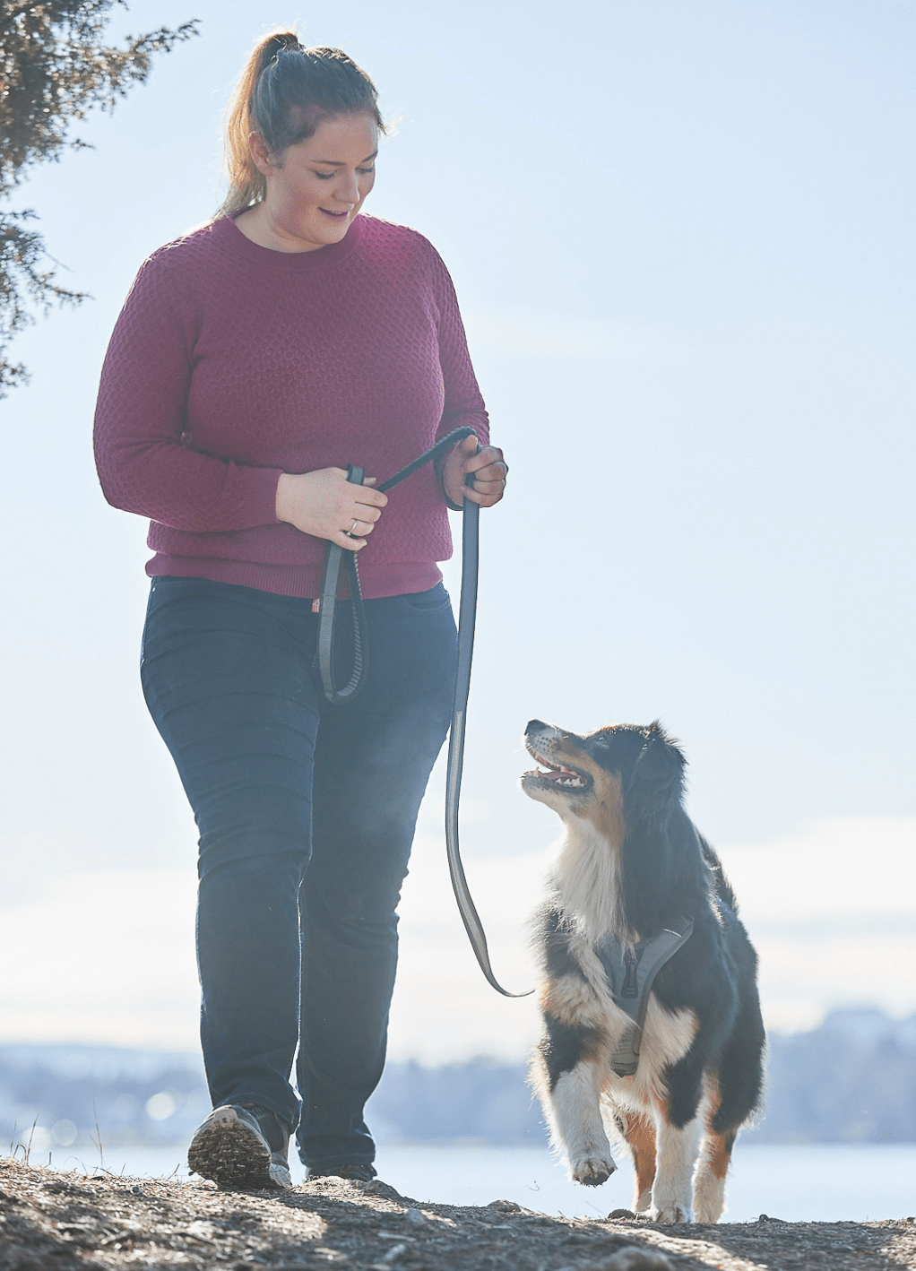 Ramble Harness (Non - Stop Dogwear) - SnowPaw Store - Non - Stop Dogwear - Dog Harness