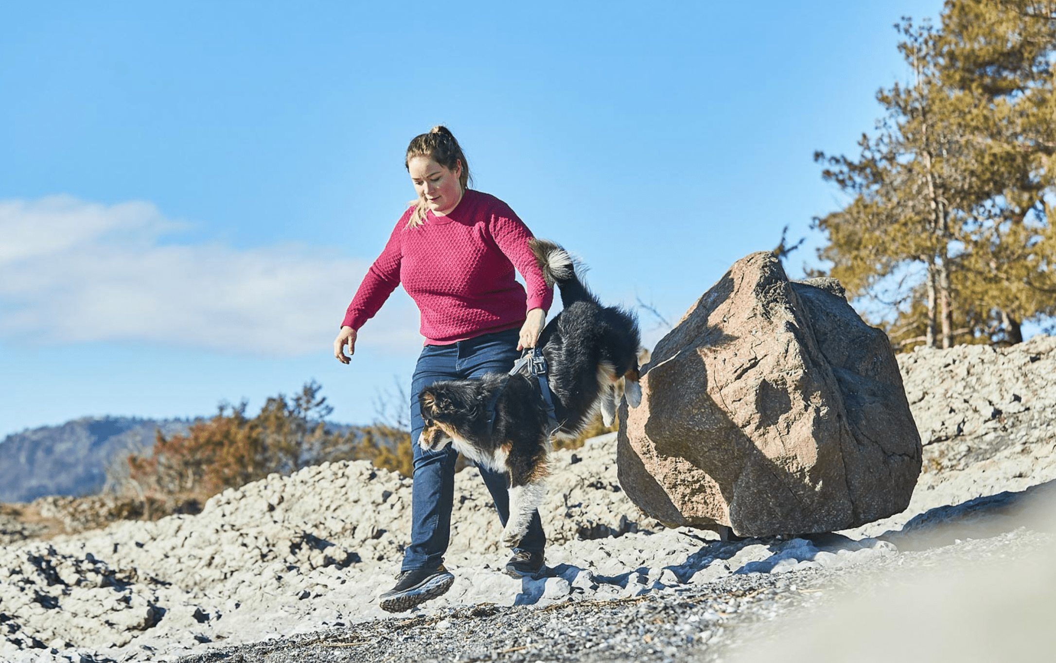 Ramble Harness (Non - Stop Dogwear) - SnowPaw Store - Non - Stop Dogwear - Dog Harness