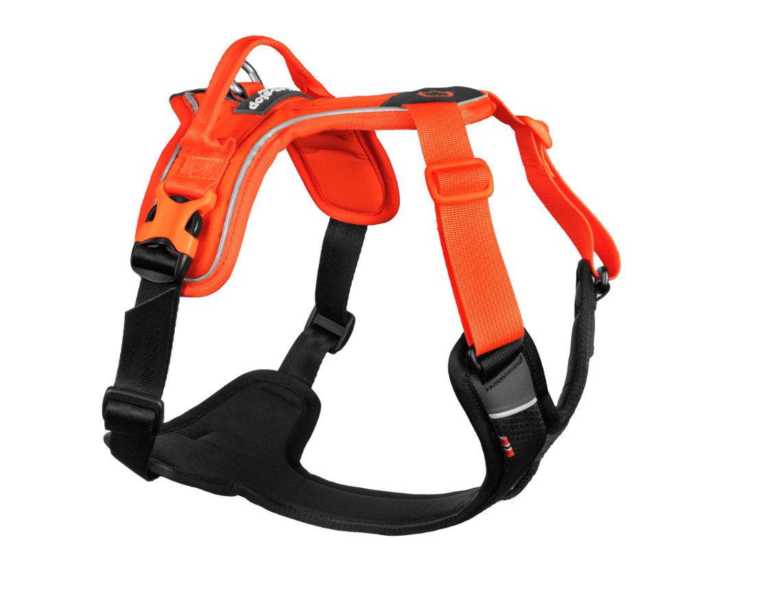 Ramble Harness (Non - Stop Dogwear) - SnowPaw Store - Non - Stop Dogwear - Dog Harness