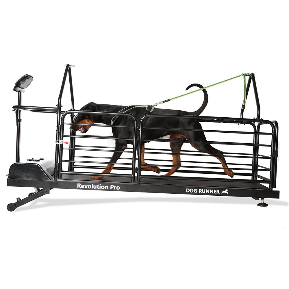 Revolution Pro Treadmill for dogs (Dog Runner) - SnowPaw Store - Dog Runner - Active Dog Gear
