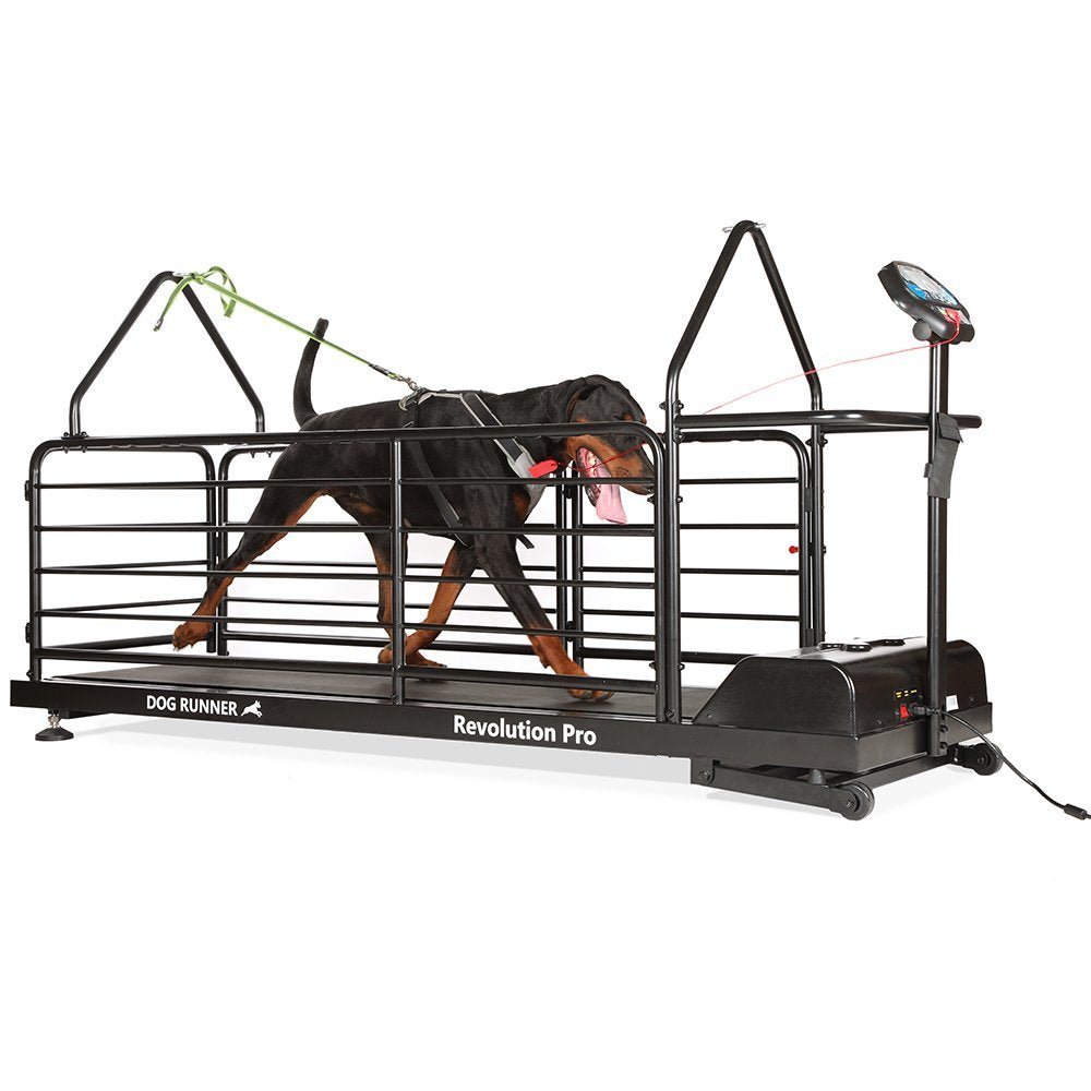 Revolution Pro Treadmill for dogs (Dog Runner) - SnowPaw Store - Dog Runner - Active Dog Gear