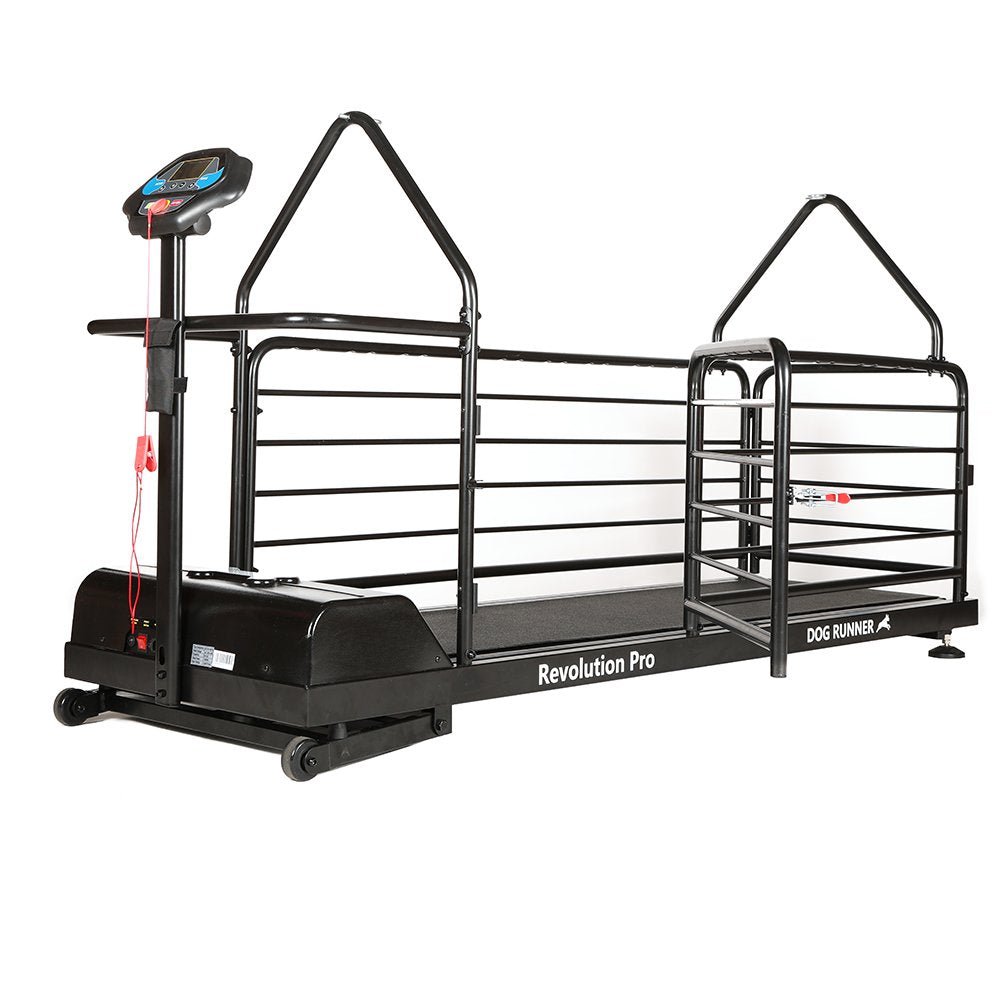 Revolution Pro Treadmill for dogs (Dog Runner) - SnowPaw Store - Dog Runner - Active Dog Gear