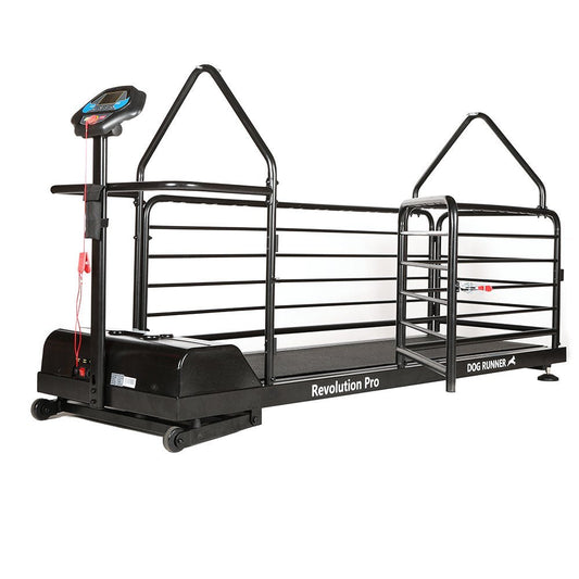 Revolution Pro Treadmill for dogs (Dog Runner) - SnowPaw Store - Dog Runner - Active Dog Gear
