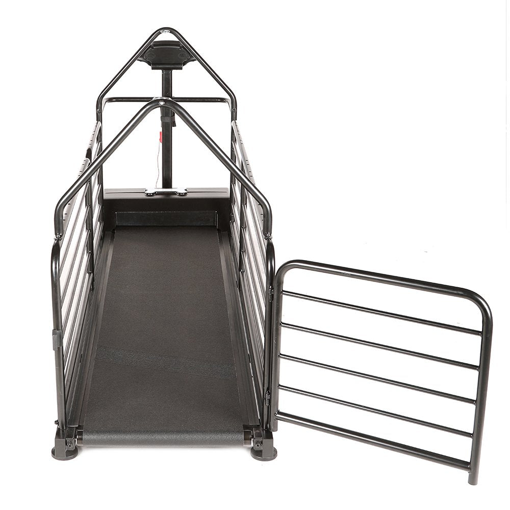 Revolution Pro Treadmill for dogs (Dog Runner) - SnowPaw Store - Dog Runner - Active Dog Gear