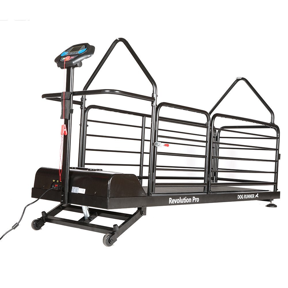 Revolution Pro Treadmill for dogs (Dog Runner) - SnowPaw Store - Dog Runner - Active Dog Gear