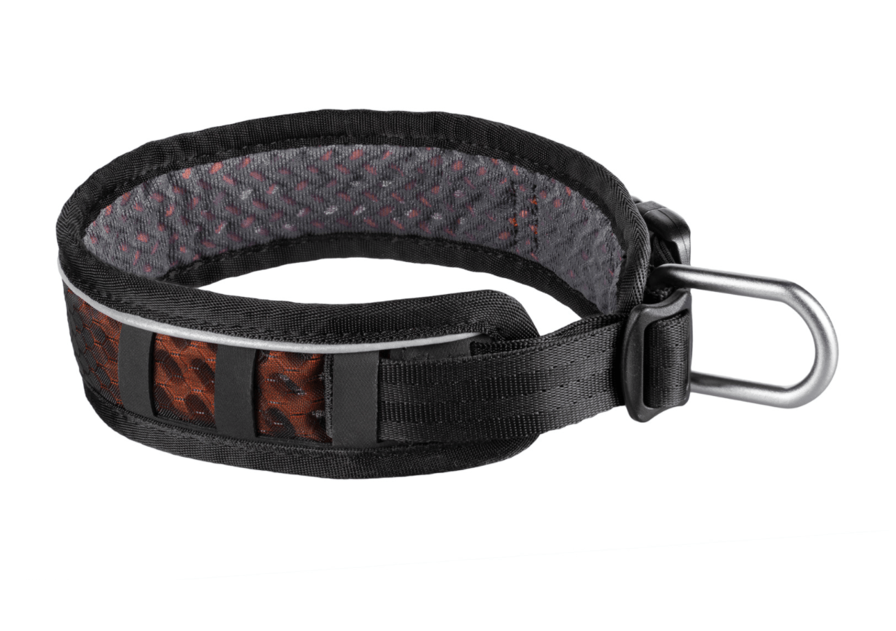 Rock Adjustable Collar (Non - Stop Dogwear) - SnowPaw Store - Non - Stop Dogwear - Dog Collars, Leads, Belts