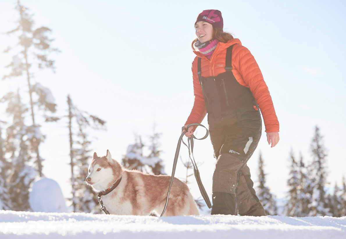 Rock Collar 3.0 (Non Stop Dogwear) - SnowPaw Store - Non - Stop Dogwear - Dog Collars, Leads, Belts