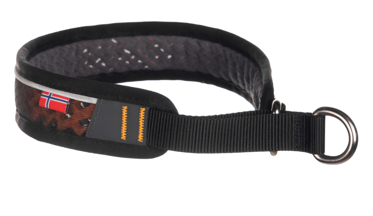 Rock Collar 3.0 (Non Stop Dogwear) - SnowPaw Store - Non - Stop Dogwear - Dog Collars, Leads, Belts