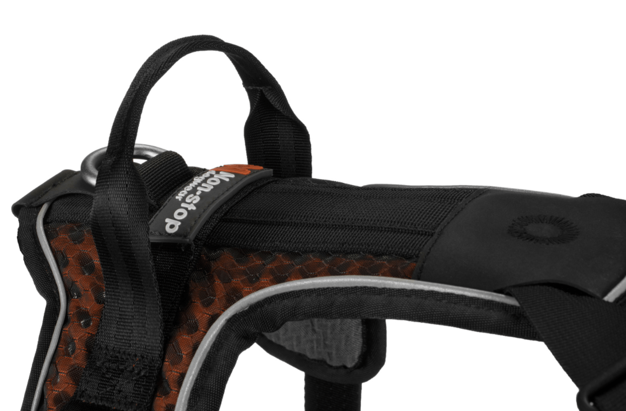 Rock Harness (Non - Stop Dogwear) - SnowPaw Store - Non - Stop Dogwear - Dog Harness