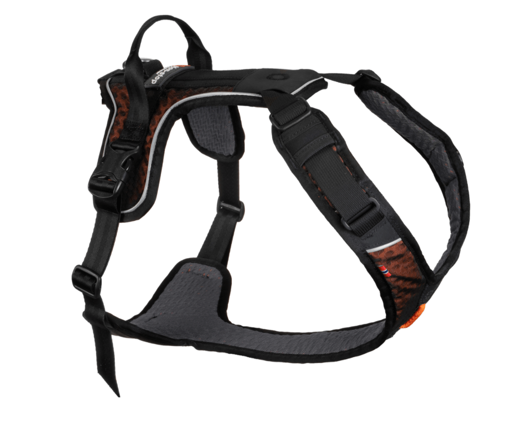Rock Harness (Non - Stop Dogwear) - SnowPaw Store - Non - Stop Dogwear - Dog Harness