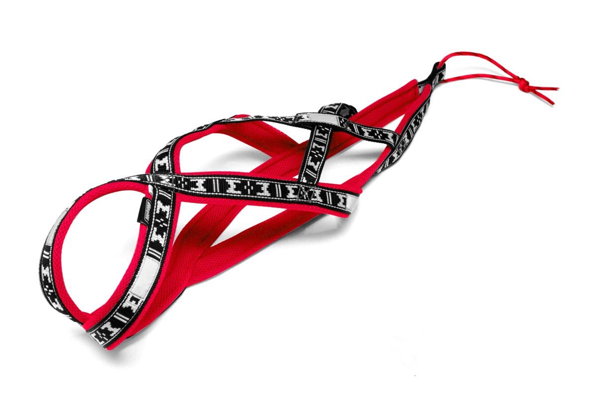 RUN Long Dog Harness (ManMat) - SnowPaw Store - ManMat - Dog Harness