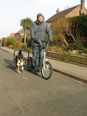 Single Sidewalker Attachment (Pawtrekker) - SnowPaw Store - Pawtrekker - Dog Scooters
