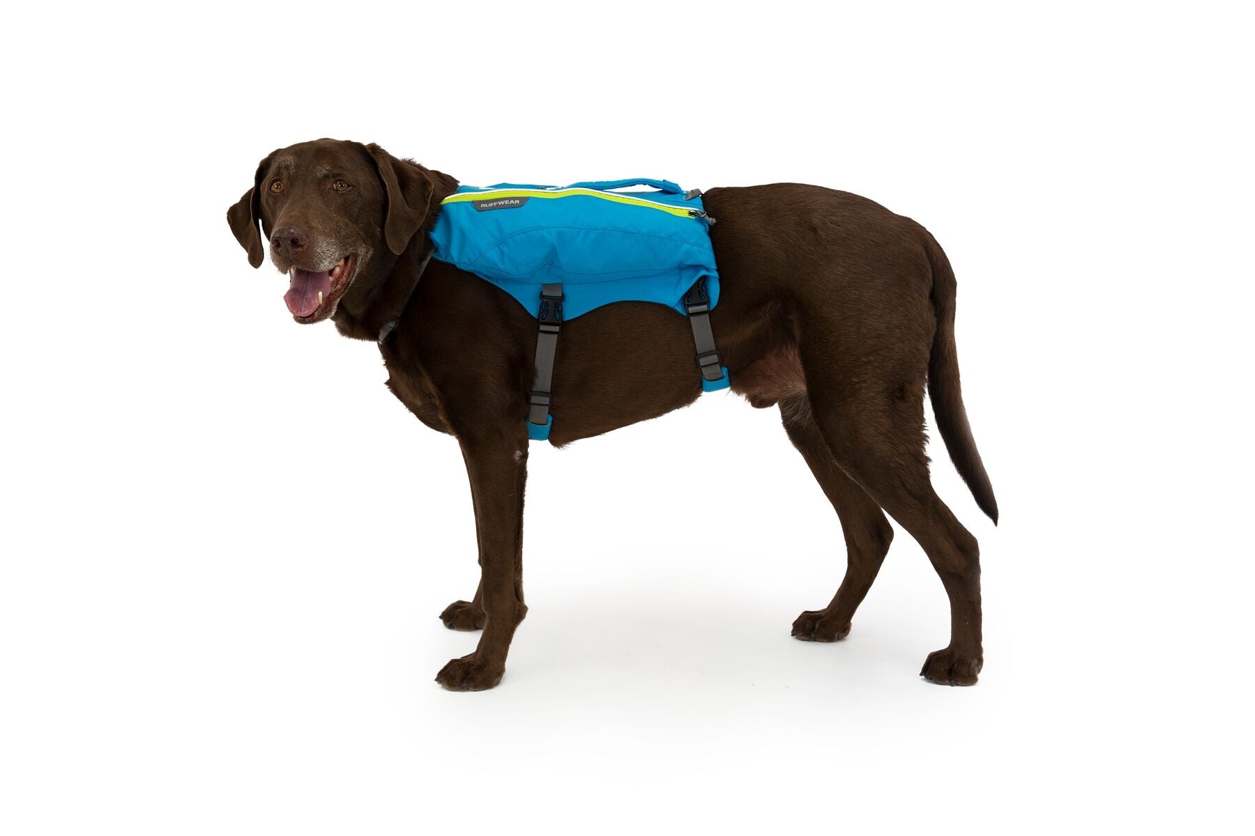 Singletrak Pack (Ruffwear) - SnowPaw Store - Ruffwear - Active Dog Gear