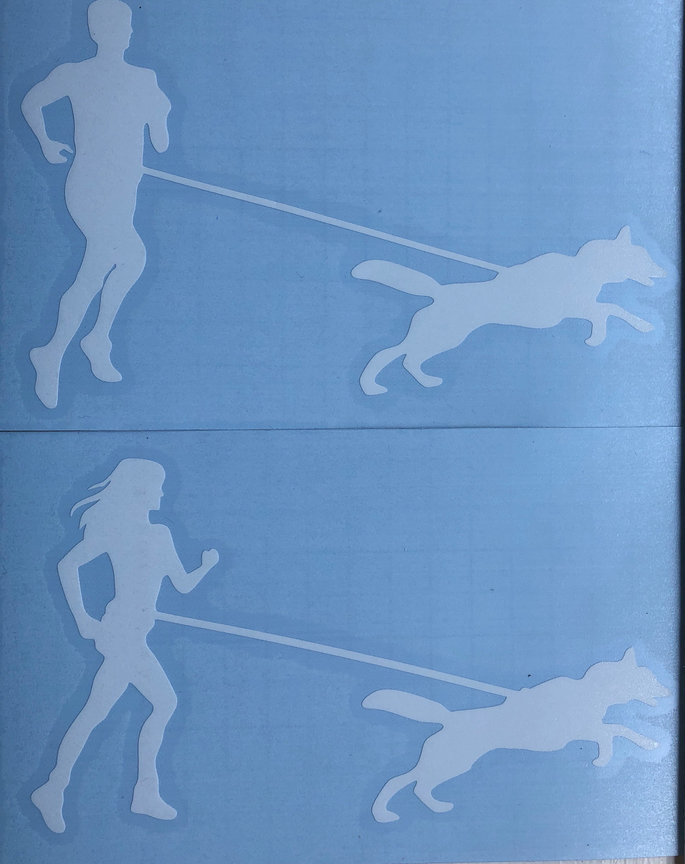 Sticker: Canicross - SnowPaw Store - SnowPaw Store - Gifts