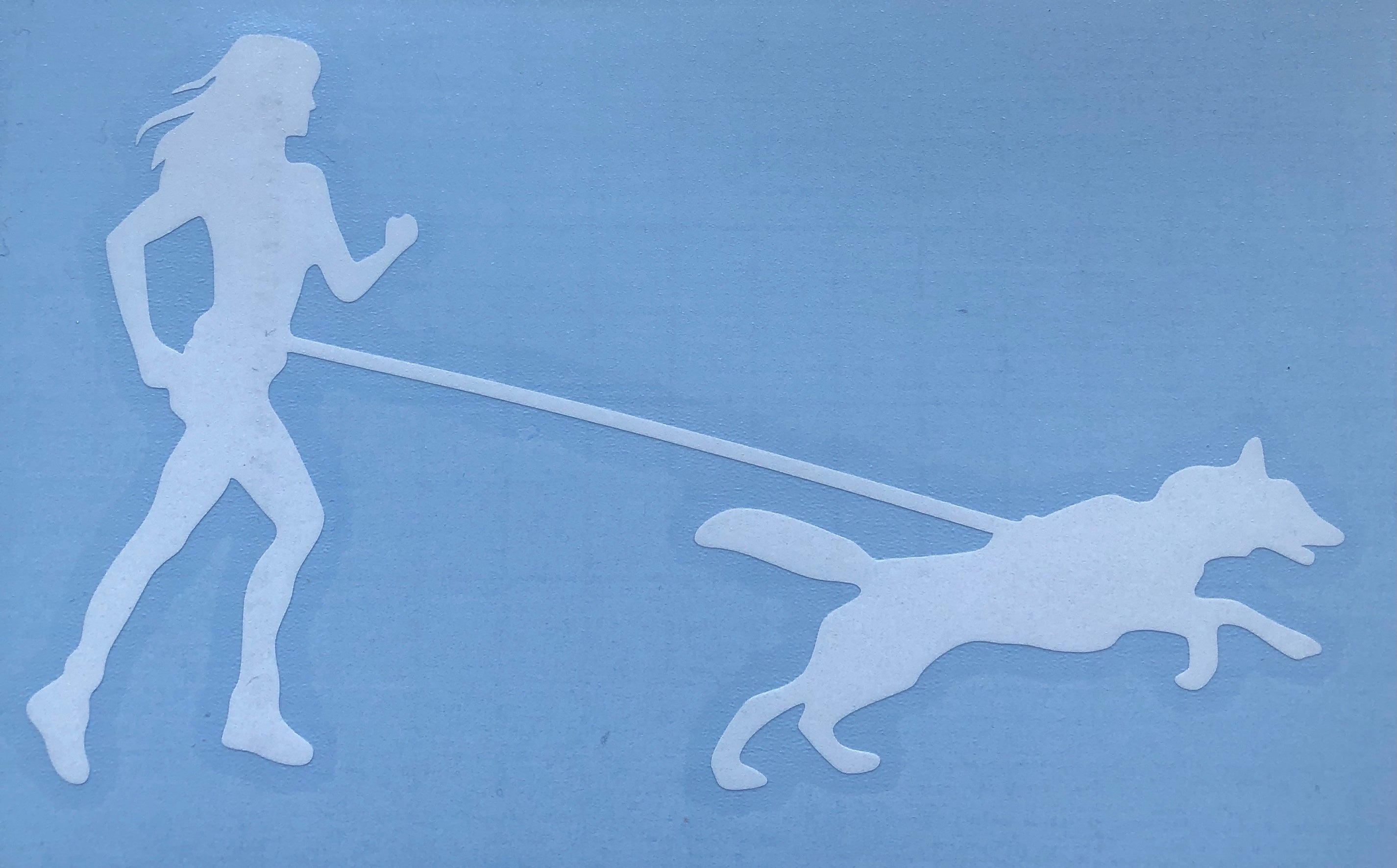 Sticker: Canicross - SnowPaw Store - SnowPaw Store - Gifts