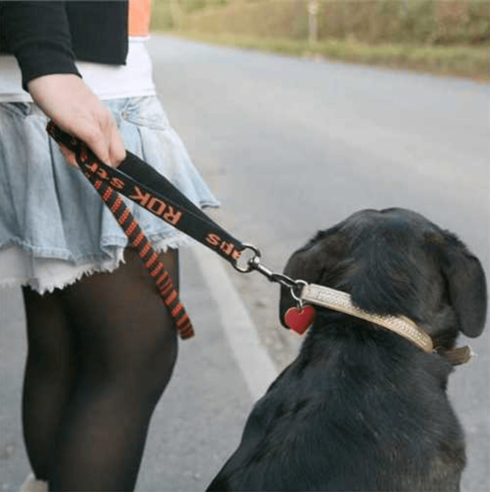Stretch Dog Leads (ROK Straps) - SnowPaw Store - ROK Straps - Dog Collars, Leads, Belts