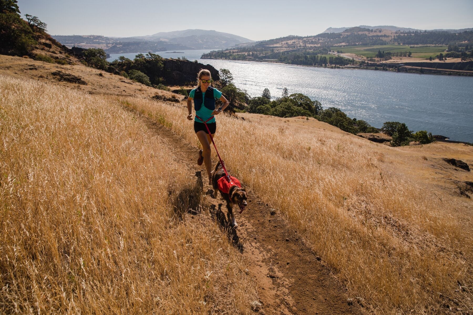Switchbak Harness (Ruffwear) - SnowPaw Store - Ruffwear - Dog Harness