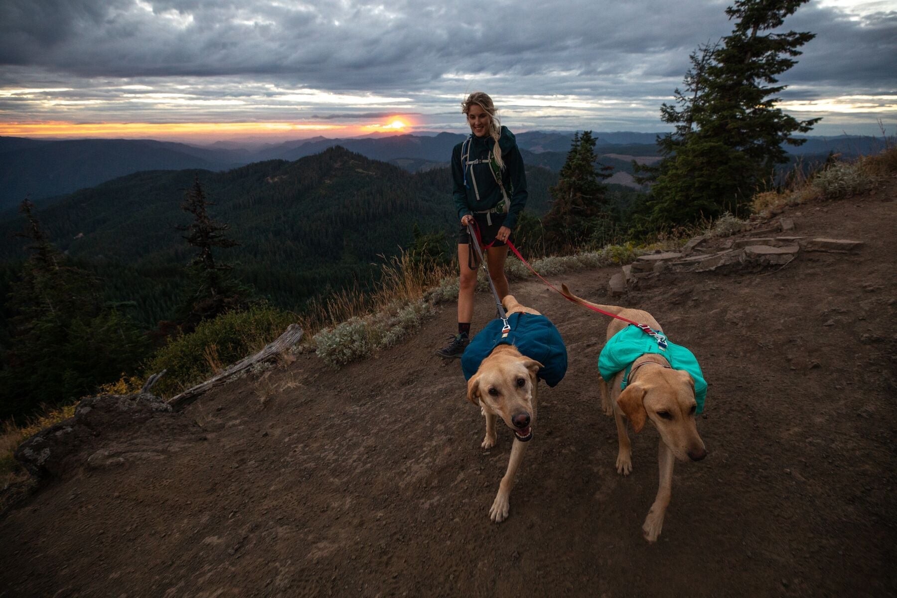 Switchbak Leash (Ruffwear) - SnowPaw Store - Ruffwear - Dog Collars, Leads, Belts