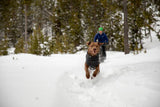 Climate Changer™ Pullover (Ruffwear)