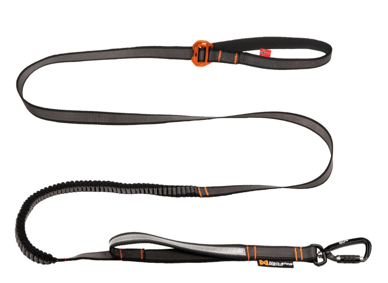 Touring Bungee Adjustable (Non Stop Dogwear) - SnowPaw Store - Non - Stop Dogwear - Dog Collars, Leads, Belts