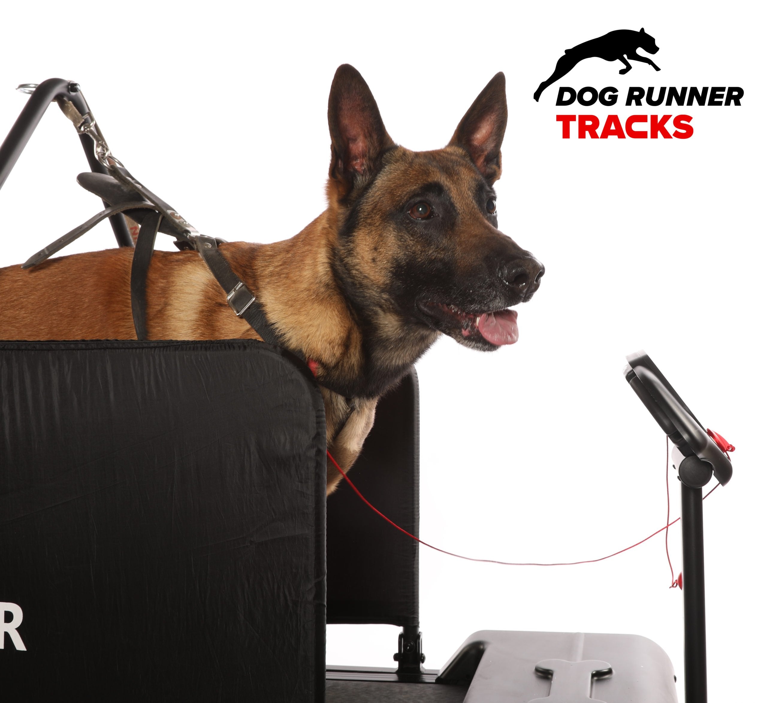 Tracks Dog Treadmill (Dog Runner) - SnowPaw Store - Dog Runner - Active Dog Gear