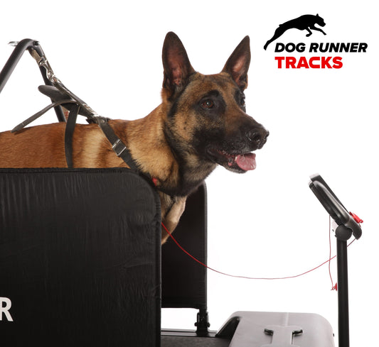 Tracks Dog Treadmill (Dog Runner) - SnowPaw Store - Dog Runner - Active Dog Gear