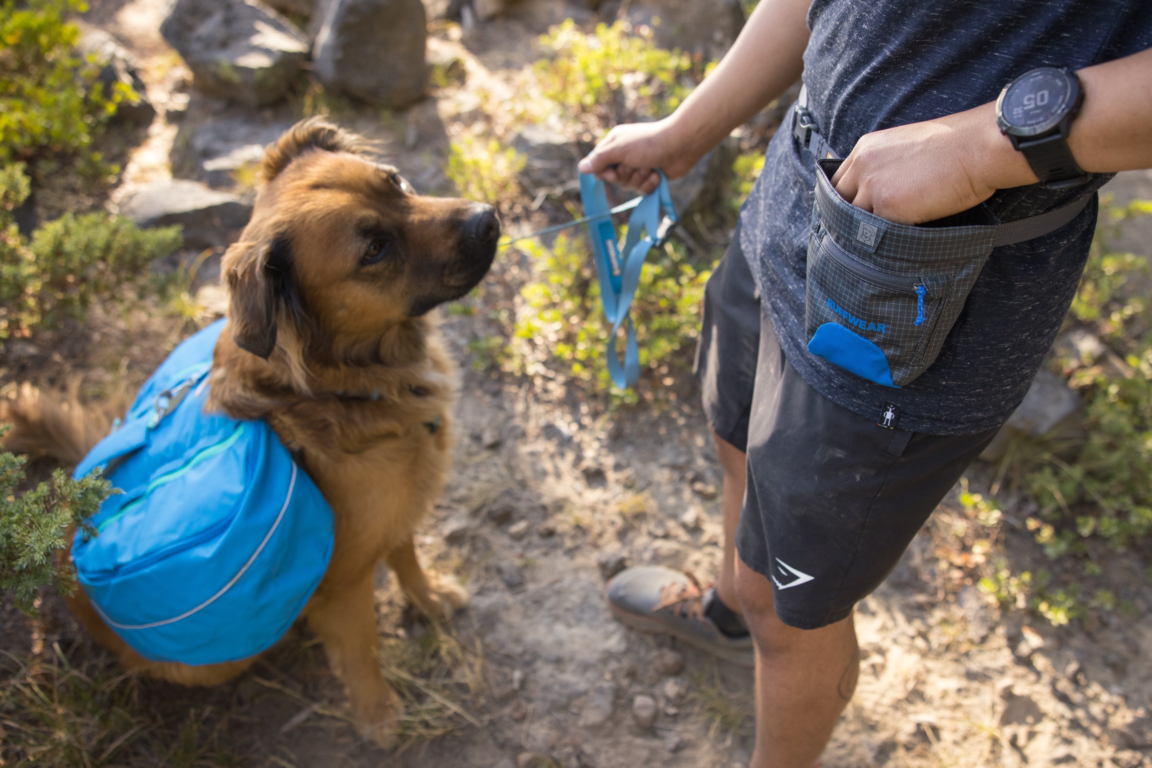 Treat Trader Bag (Ruffwear) - SnowPaw Store - Ruffwear - Active Human Gear