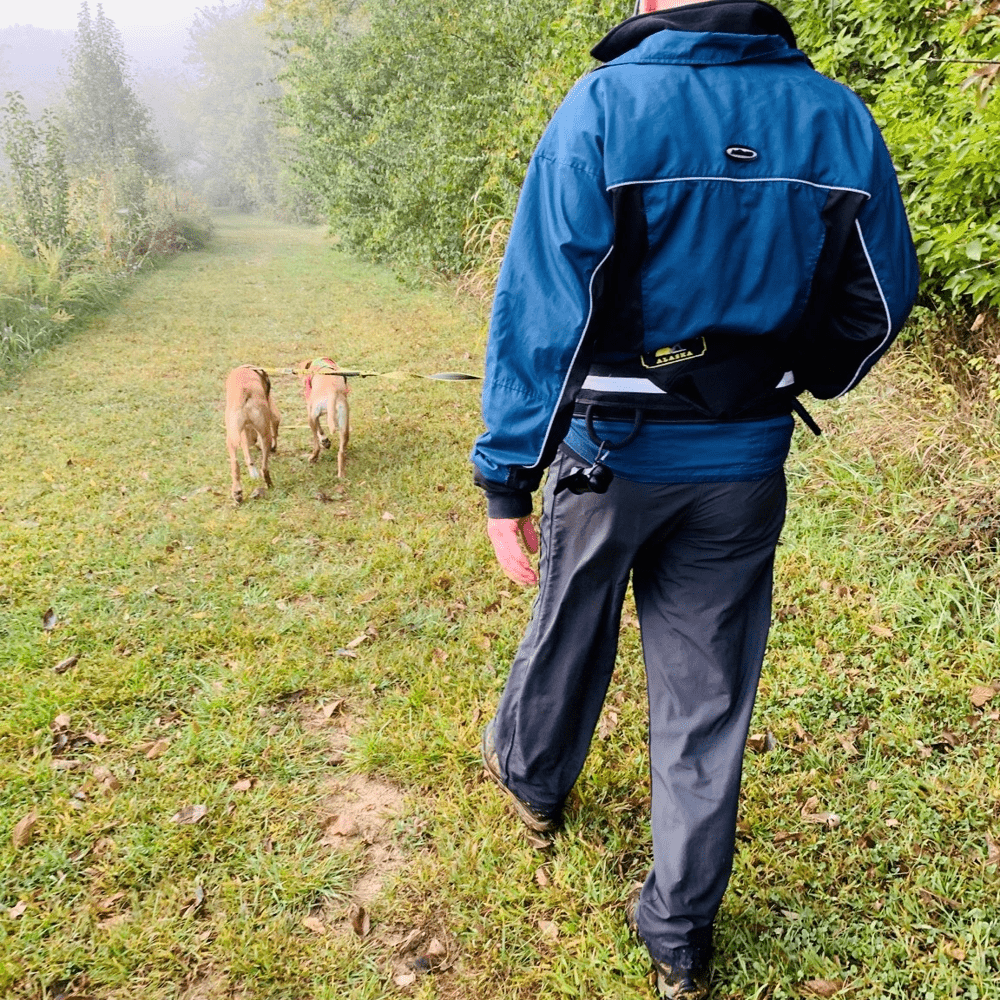 Trekking Belt (Howling Dog Alaska) - SnowPaw Store - Howling Dog Alaska - Active Human Gear