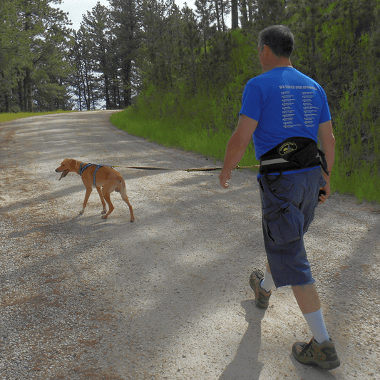 Trekking Belt (Howling Dog Alaska) - SnowPaw Store - Howling Dog Alaska - Active Human Gear