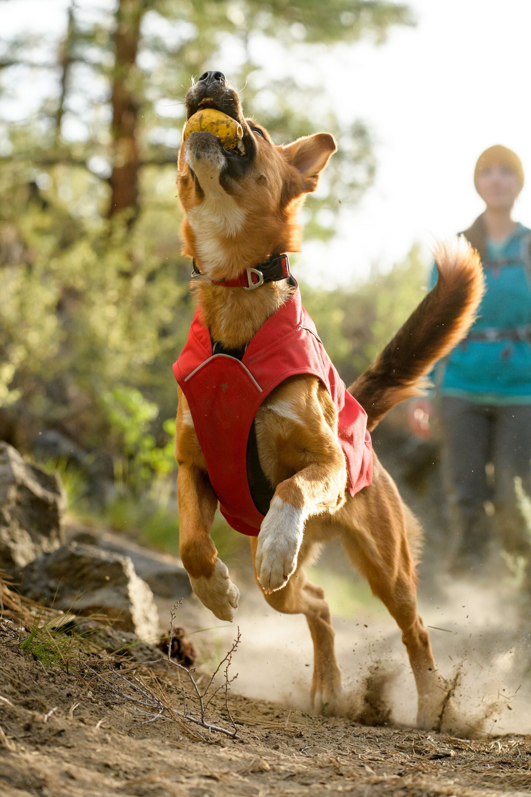 Turnup™ Rubber Throw Toy (Ruffwear) - SnowPaw Store - Ruffwear - Active Dog Gear
