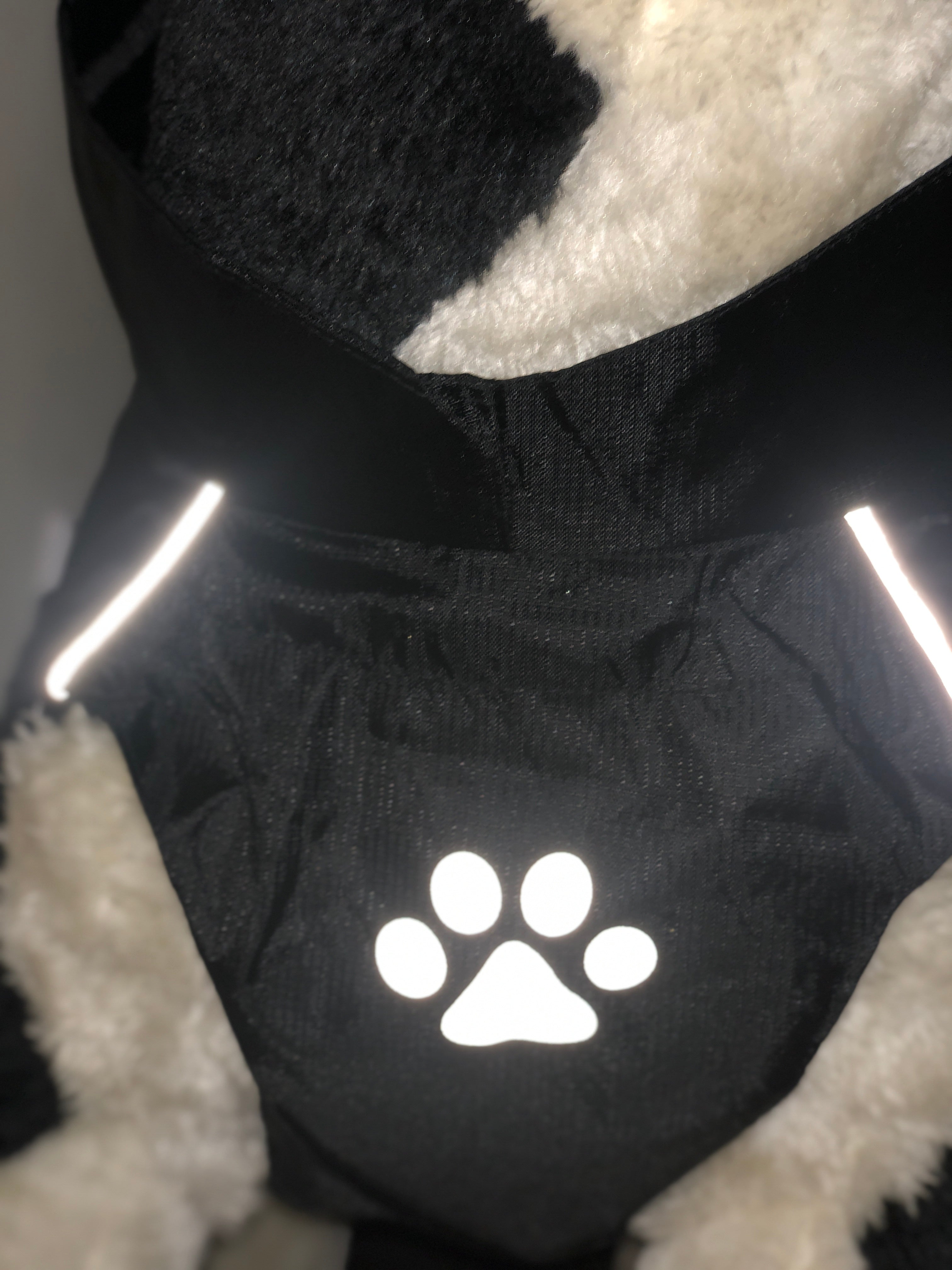 Tyson Raincoat (Pawtrekker) - SnowPaw Store - Pawtrekker - Dog Coats