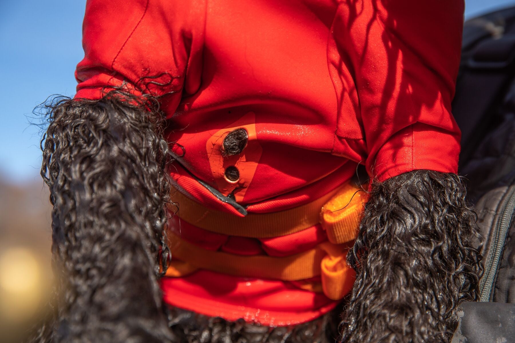 Undercoat Water Jacket (Ruffwear) - SnowPaw Store - Ruffwear - Active Dog Gear