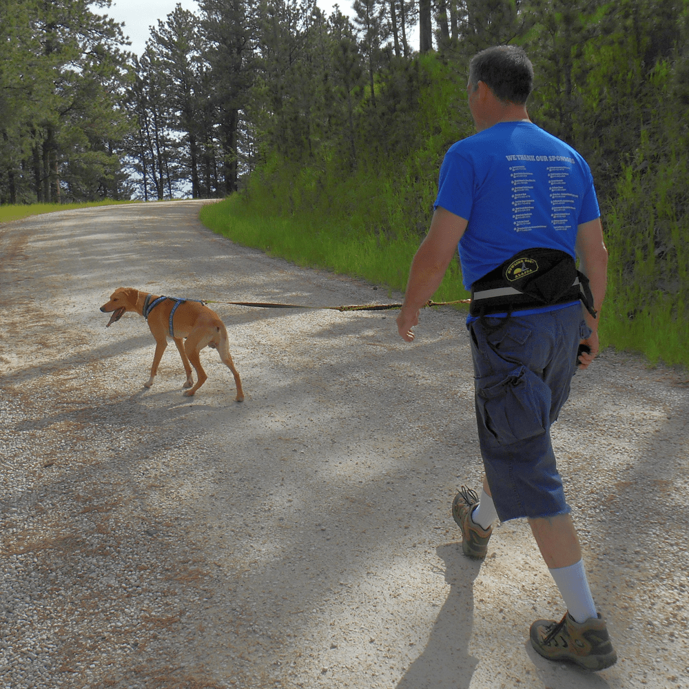 Walking Package (Howling Dog) - SnowPaw Store - Howling Dog Alaska - Dog Collars, Leads, Belts