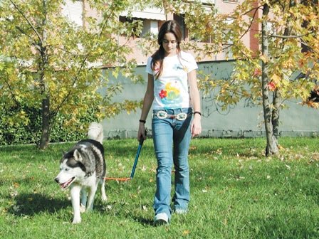 Walky Dog Plus - Bike Attachment - SnowPaw Store - WalkyDog - Bikejoring