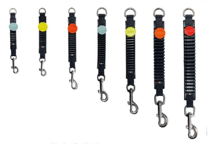 WAW Basic - SnowPaw Store - WAW - Dog Collars, Leads, Belts