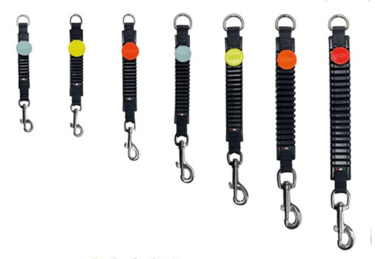 WAW Basic - SnowPaw Store - WAW - Dog Collars, Leads, Belts