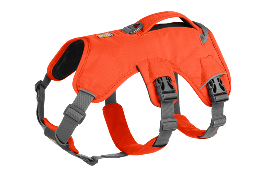 Web Master Harness Original (Ruffwear) - SnowPaw Store - Ruffwear - Dog Harness