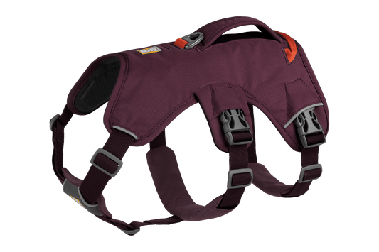 Web Master Harness Original (Ruffwear) - SnowPaw Store - Ruffwear - Dog Harness