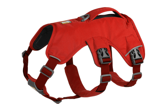Web Master Harness Original (Ruffwear) - SnowPaw Store - Ruffwear - Dog Harness