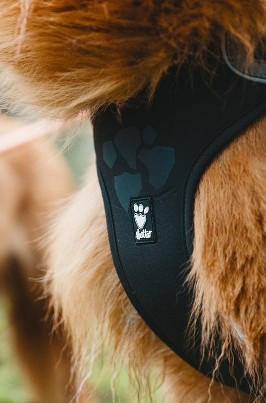 Weekend Warrior Harness (Hurtta) - SnowPaw Store - Hurtta - Dog Harness