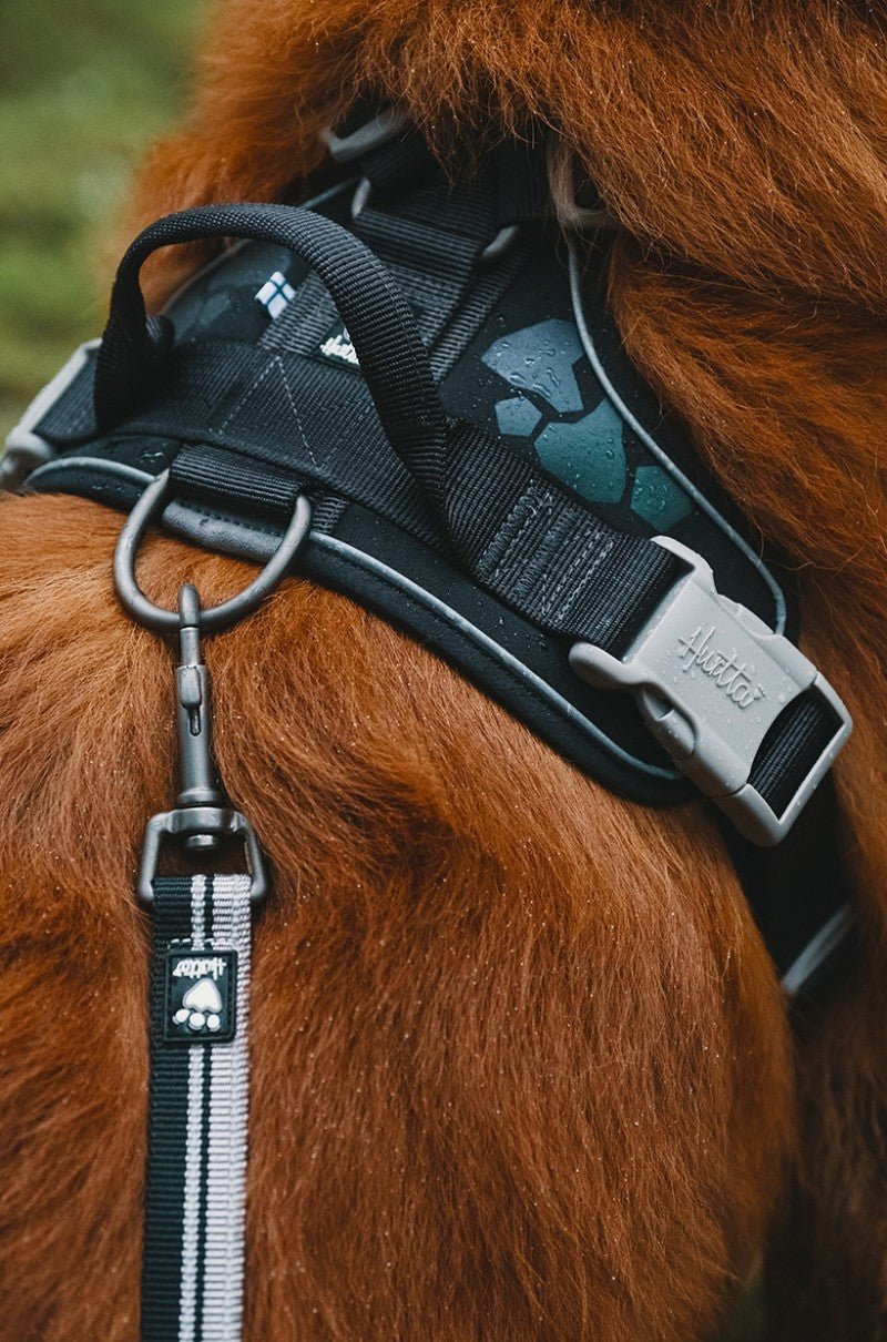 Weekend Warrior Harness (Hurtta) - SnowPaw Store - Hurtta - Dog Harness