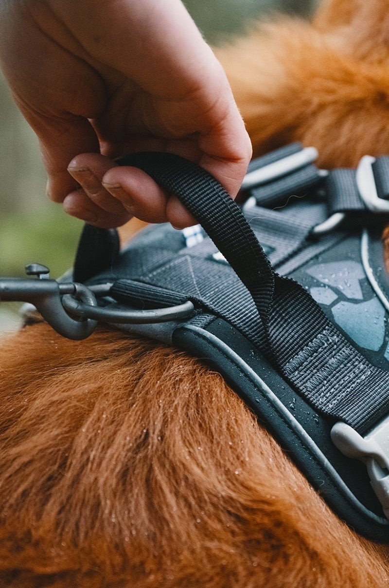 Weekend Warrior Harness (Hurtta) - SnowPaw Store - Hurtta - Dog Harness