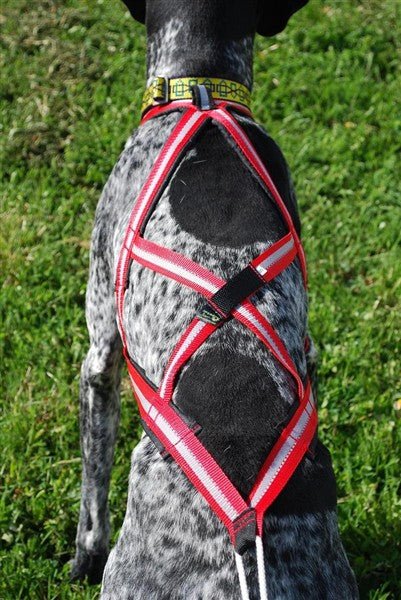 X Back Harness - Wide Neck (Dragrattan) - SnowPaw Store - Dragrattan - Dog Harness